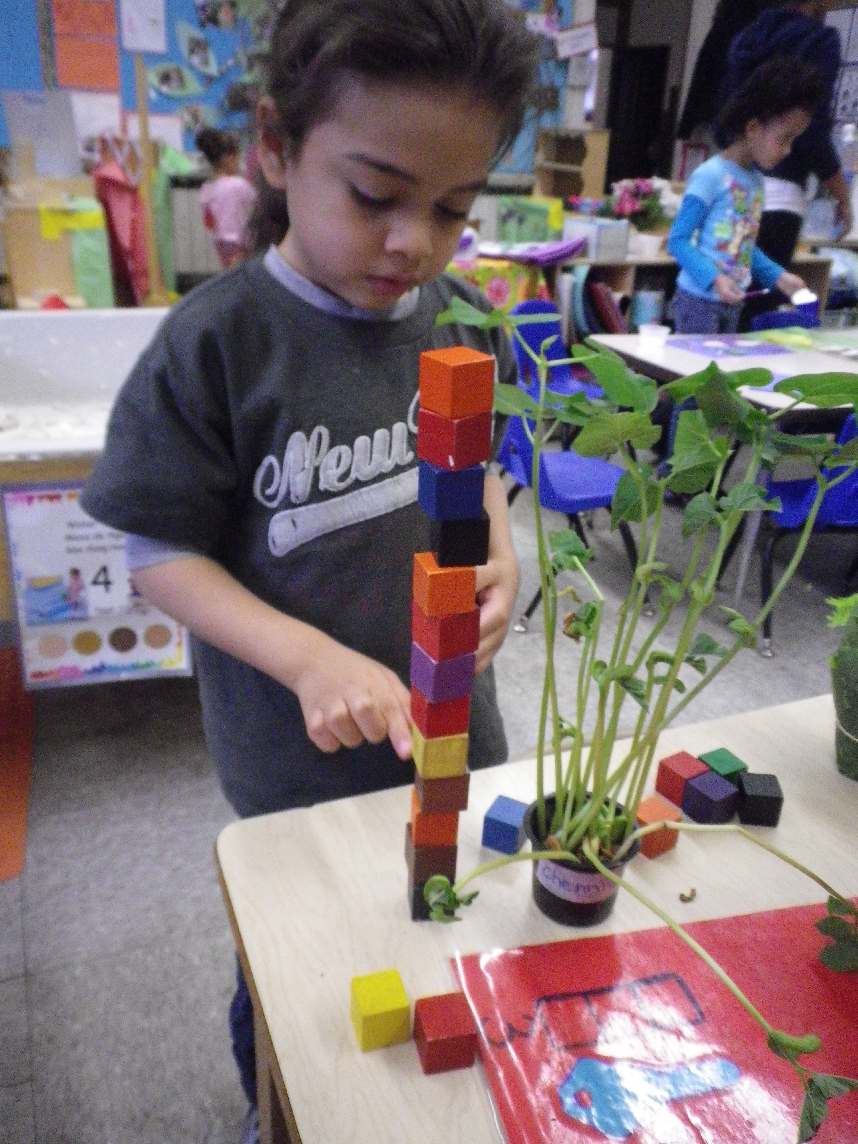 Growing and measuring plants | In the Classroom with PEEP3000 x 4000